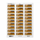 Skeleton Halloween-Party Freaky Night Orange (Vorne)