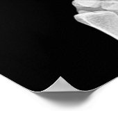 Skeleton Hands Xray Picture Human Anatomy Foto Poster (Ecke)