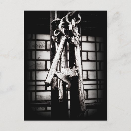 Skeleton Keys and Brick Wall Postkarte (Vorderseite)