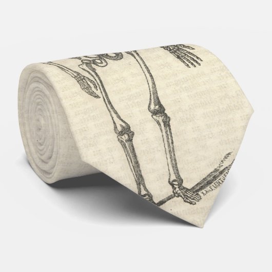 Skeleton Krawatte (Gerollt)