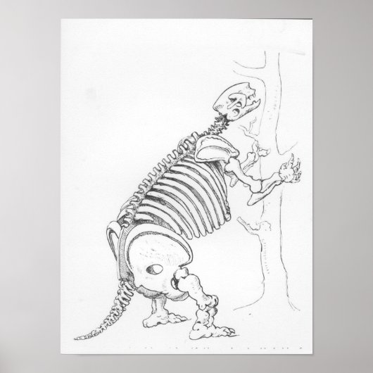 Skeleton of a Mylodon Poster (Vorne)