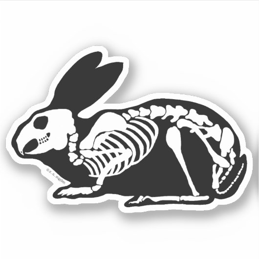 Skeleton Rabbit Aufkleber (Vorderseite)