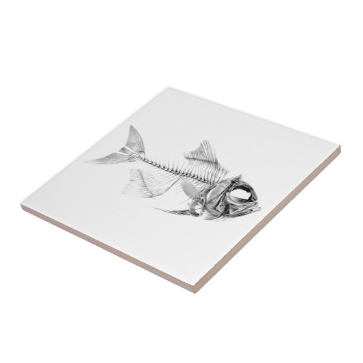 Skeleton Radierung der Vintagen Fische Fliese (Seite)