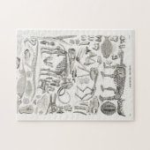 Skeleton Skull Animal Halloween Puzzle (Horizontal)