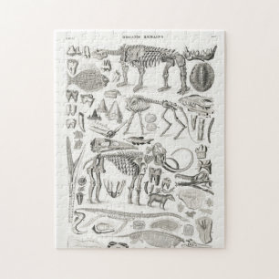 Skeleton Skull Animal Halloween Puzzle