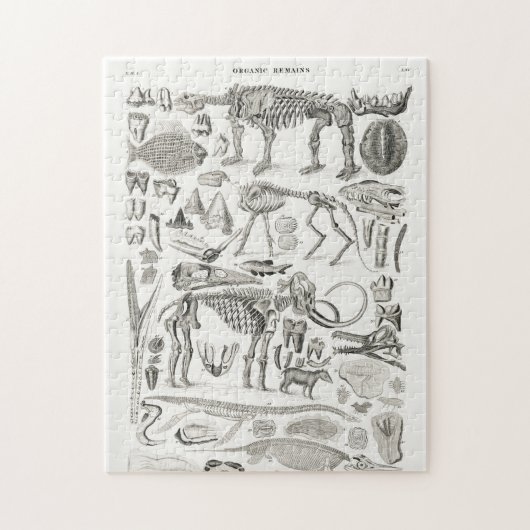 Skeleton Skull Animal Halloween Puzzle (Vertikal)