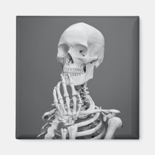 Skeleton Skull Halloween Schwarz und Weiß Grau Magnet