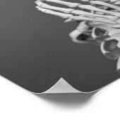 Skeleton Skull Halloween Schwarz und Weiß Grau Poster (Ecke)