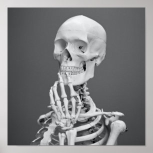 Skeleton Skull Halloween Schwarz und Weiß Grau Poster