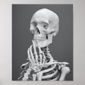 Skeleton Skull Halloween Schwarz und Weiß Grau Poster (Vorne)