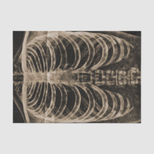 Skeleton Xray Rib Cage Vintag Sepia Black Gothic Seidenpapier