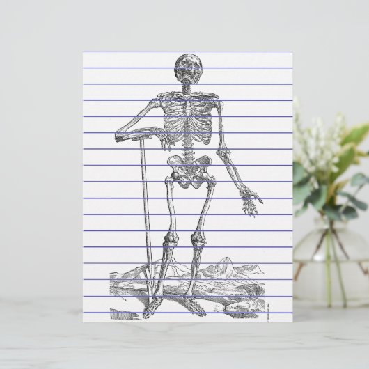 Skelett (Stehend Vorderseite)