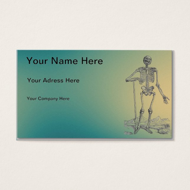 Skelett (Vorderseite)