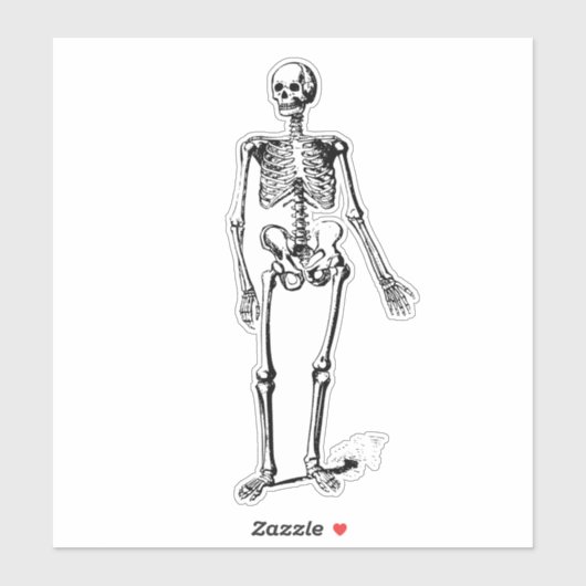 Skelett Aufkleber (Blatt)