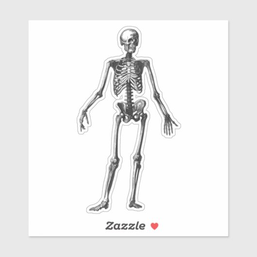 Skelett Aufkleber (Blatt)