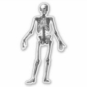 Skelett Aufkleber (Vorderseite)