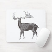 Skelett der irischen Elche - Megaceros hibernicus Mousepad (Mit Mouse)