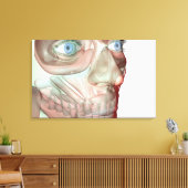 Skelett des Gesichtes 3 Leinwanddruck (Insitu (Wohnzimmer))