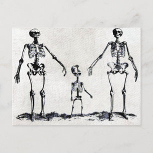 Skelett-Familien-Postkarte Postkarte
