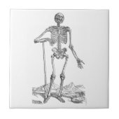 Skelett Fliese (Vorderseite)