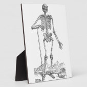 Skelett Fotoplatte (Seite)