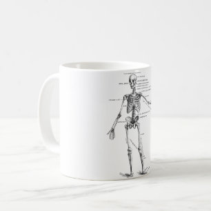 Skelett für Vintage Anatomie Kaffeetasse