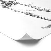 Skelett für Vintage Anatomie Poster (Ecke)