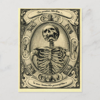 Skelett, Goth, Mittelalter Postkarte
