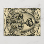 Skelett, Goth, Mittelalter Postkarte (Vorderseite)