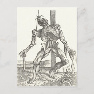 Skelett Leiche Leichnam Anatomie Medizin Postkarte
