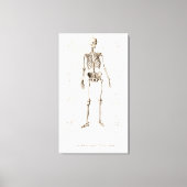 Skelett Leinwanddruck (Vorderseite)