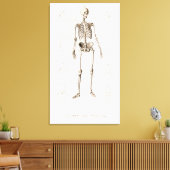 Skelett Leinwanddruck (Insitu (Wohnzimmer))