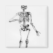 Skelett Magnet (Vorne)