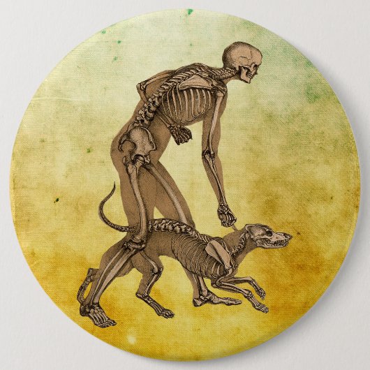 Skelett Mensch und Hund Anatomie an menschlichen T Button (Vorderseite)