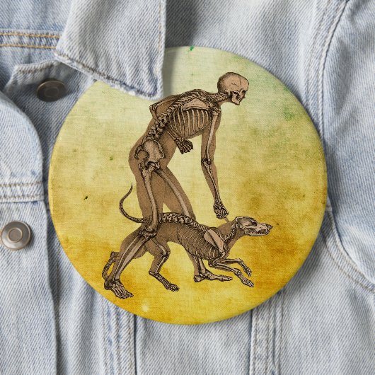 Skelett Mensch und Hund Anatomie an menschlichen T Button (Beispiel)