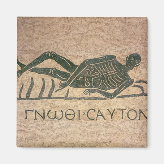 Skelett mit dem Titel 'Know Magnet (Vorne)