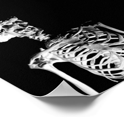 Skelett Poster (Ecke)