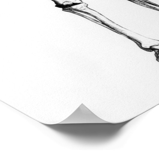 Skelett Poster (Ecke)