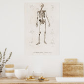Skelett Poster (Küche)