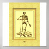 Skelett Poster (Vorne)