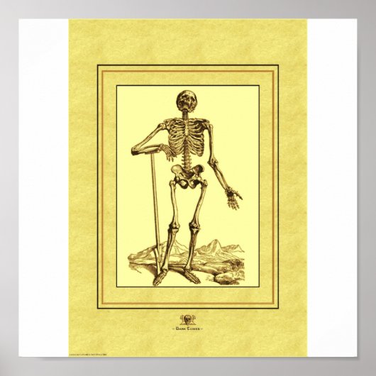 Skelett Poster (Vorne)