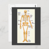 Skelett Postkarte (Vorne/Hinten)