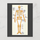 Skelett Postkarte (Vorderseite)