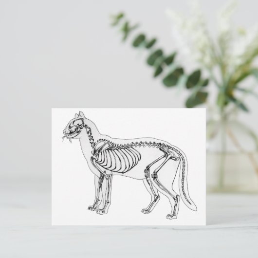 Skelett Postkarte (Stehend Vorderseite)