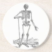 Skelett Sandstein Untersetzer (Vorne)