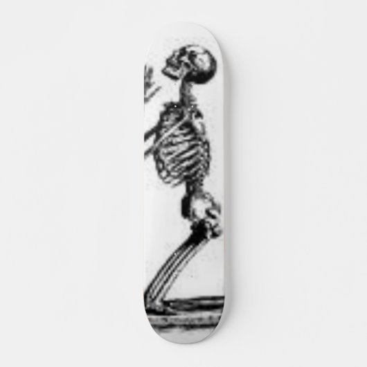 Skelett Skateboard (Vorne)