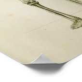 Skelett Vintage Anatomie Druck Poster (Ecke)