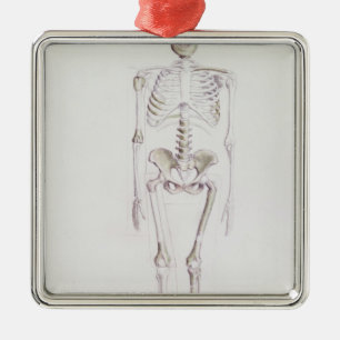 Skelett von Australopithecus africanus Ornament Aus Metall