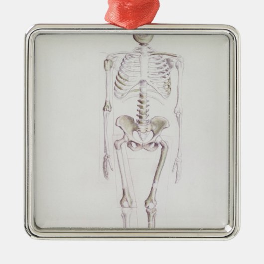 Skelett von Australopithecus africanus Ornament Aus Metall (Vorne)