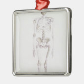 Skelett von Australopithecus africanus Ornament Aus Metall (Links)